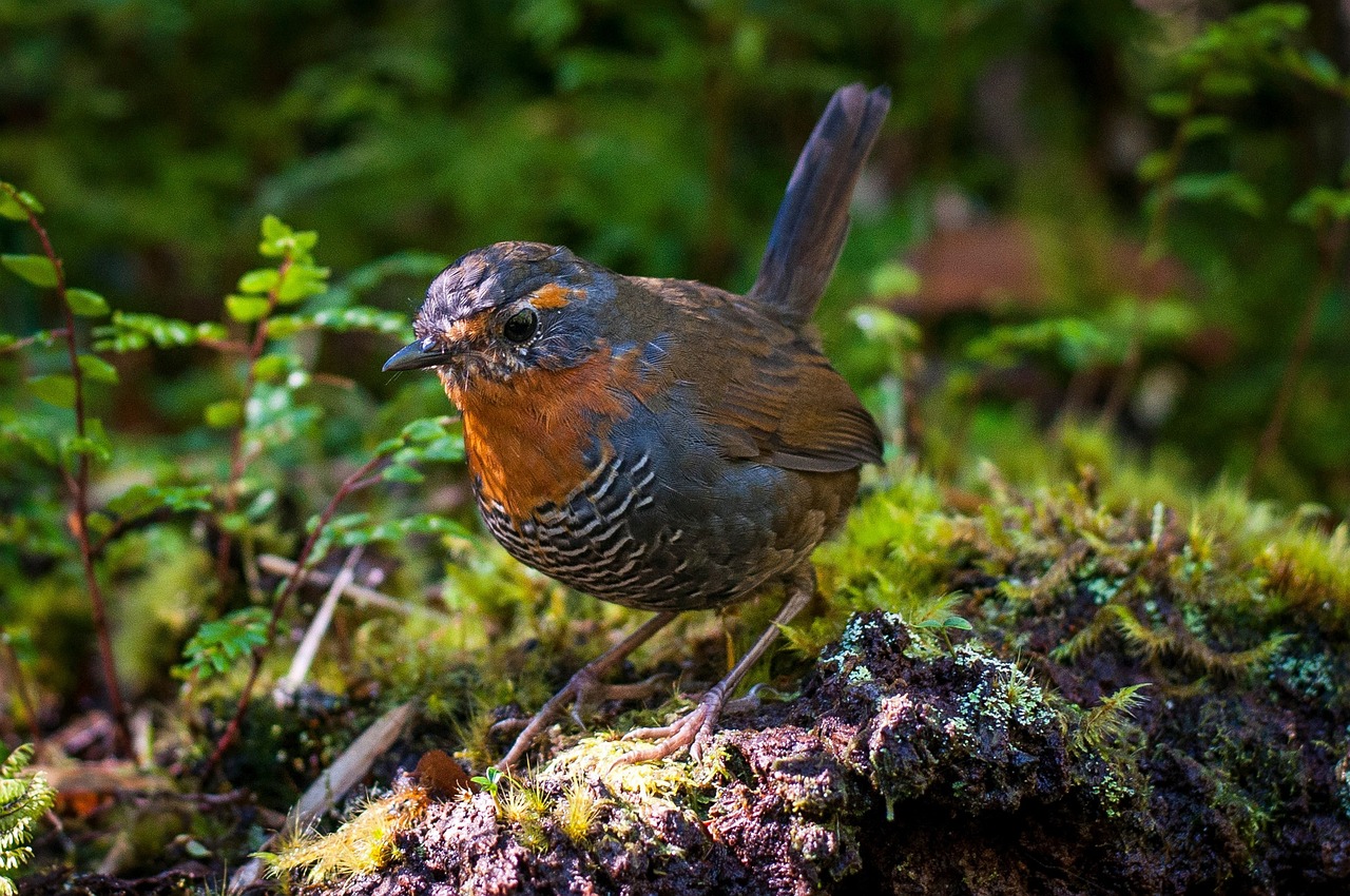 How to Be an Eco-Friendly Tourist in Argentina’s Patagonia